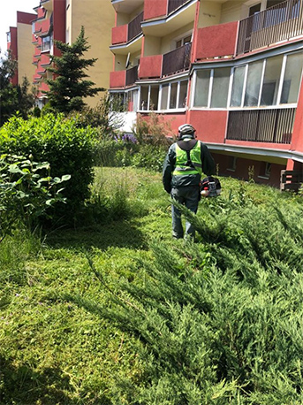 Sprzątanie terenów zieleni Kraków